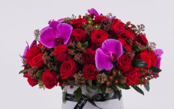 Online Flower Shops In Qatar – Ferrari Bridge Flowers
