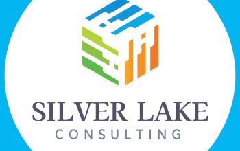 Get help with survey development | Silver Lake Consulting