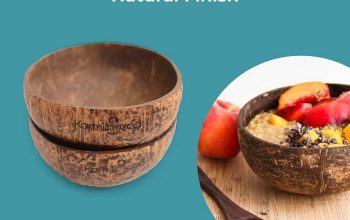 Coconut Bowls – Natural Finish
