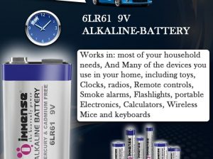 Buy Advance LR6 Alkaline battery for long life immense