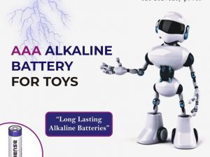 Buy AAA Alkaline battery for toys portable device