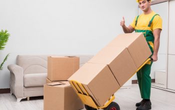 Packers And Movers Noida