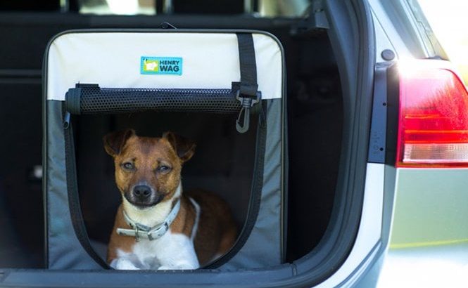 Fabric Dog Travel Crate