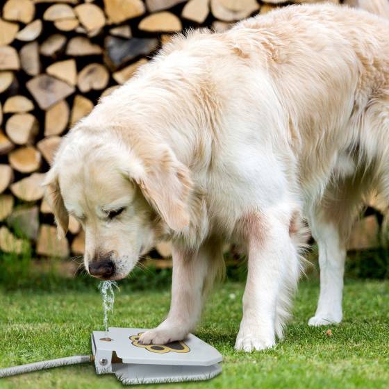 Automatic Outdoor Water Fountain For Dog