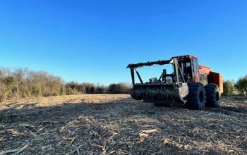 Comanche County Land Clearing: Pierce Land Clearing LLC