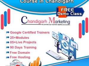 seo course in Chandigarh