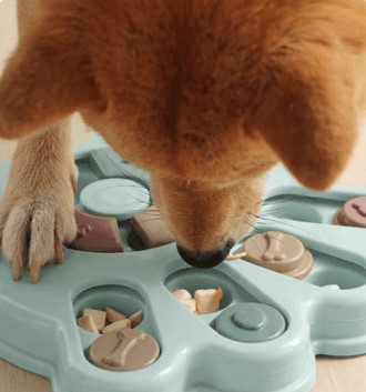 Puzzle Toy For Dogs