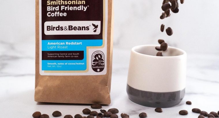 Find Best Organic Coffee from Birds & Beans | Bird-Friendly Coffee