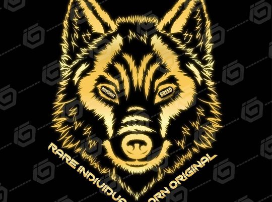 Get your logo designed by the professionals