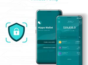 Hippo Wallet Outlines their Privacy Policy