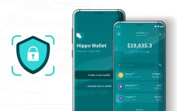 Hippo Wallet Outlines their Privacy Policy