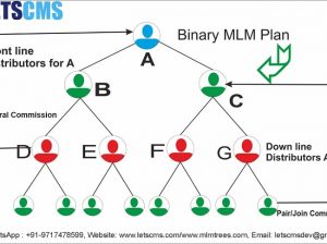WooCommerce Binary Referral Affiliate Plugin, Repurchase plan, Binary MLM eCommerce Plan Price China, USA