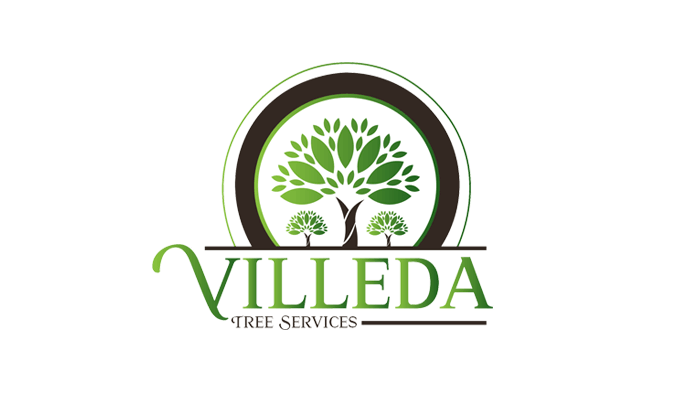 Villeda Tree Services- Tree Removal- 661 468 6037