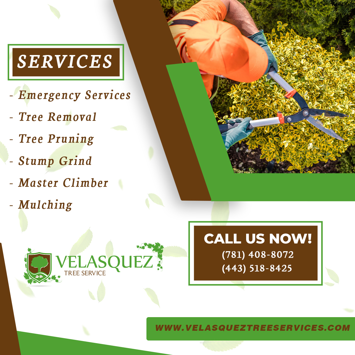 Velasquez Tree Service