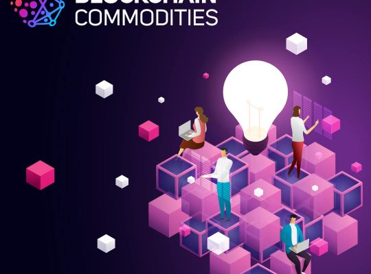 A Leader in Custom Blockchain Software Development