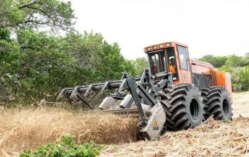Sumter County and St.Lucie County Florida Land Clearing and Forestry Mulching