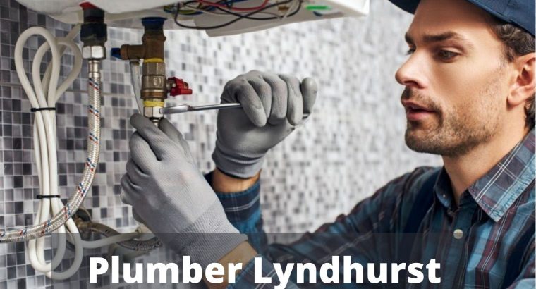 Need a plumber in Lyndhurst?
