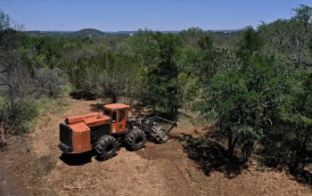 Forestry Mulching in Lake County and Lee County: Florida Land Clearing
