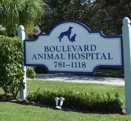 Boulevard Animal Hospital