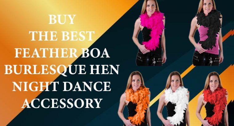 Buy The Best Feather Boa Burlesque Hen Night Dance Accessory