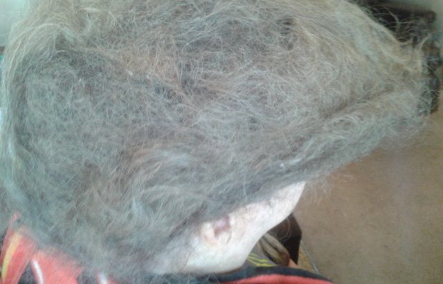 Matted Tangled Hair Detanglers Doha