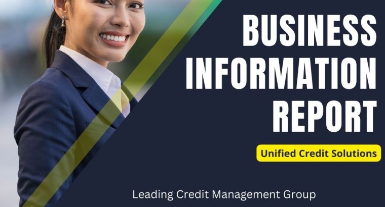 Business Information Report in India – Group-UCS