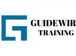 Best Online Guidewire Training | Techsolidity