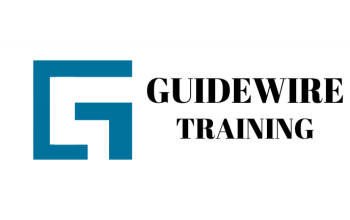 Best Online Guidewire Training | Techsolidity