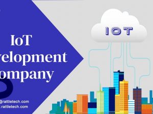 Best Company for IoT Development Services