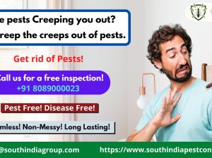 Pest Control Services in Goa