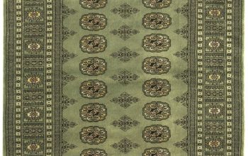 Buy Affordable Bokhara Green Traditional Wool Rug by Asiatic