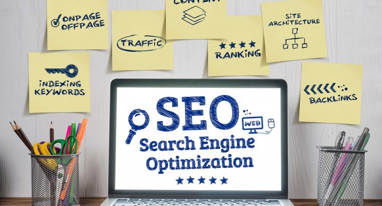 Expert organic seo agency in Mohali with proven portfolio & case studies