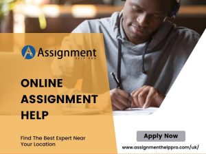 Affordable Online Assignment Help According to your Requirements