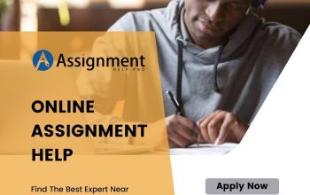 Affordable Online Assignment Help According to your Requirements