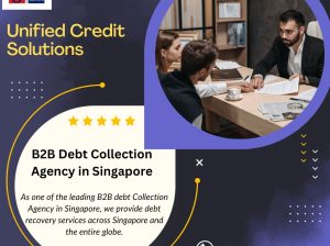 Professional and B2B Debt Collection and Recovery Services Singapore-Group UCS