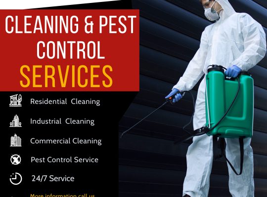 Cleaning services