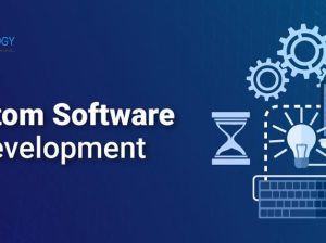 Customized Software Development to boost your organization’s productivity