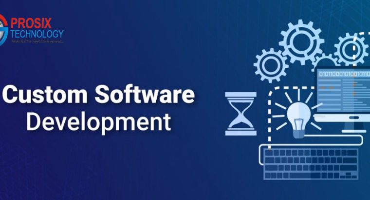 Customized Software Development to boost your organization’s productivity