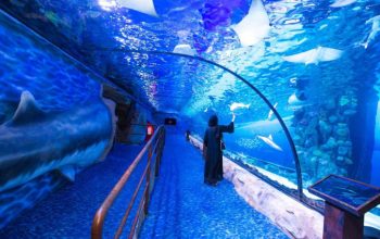 Dubai mall Aquarium