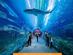 Dubai Mall Aquarium And Underwater Zoo Tickets