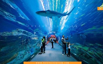 Dubai Mall Aquarium And Underwater Zoo Tickets