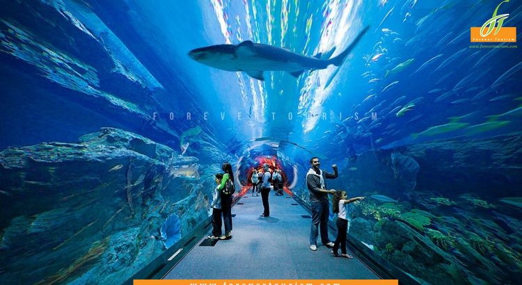 Dubai Mall Aquarium And Underwater Zoo Tickets