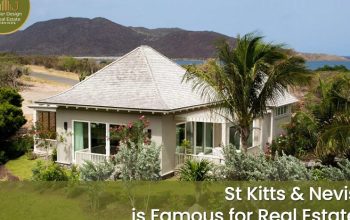 Citizenship by Investment St Kitts and Nevis
