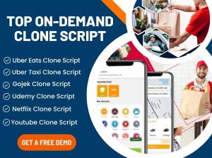 Why Do You Need On-Demand Clone Script & App Development?