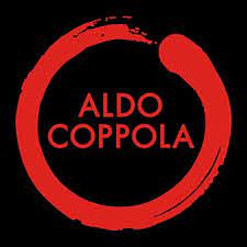Best Salon in Qatar | Aldo Coppola