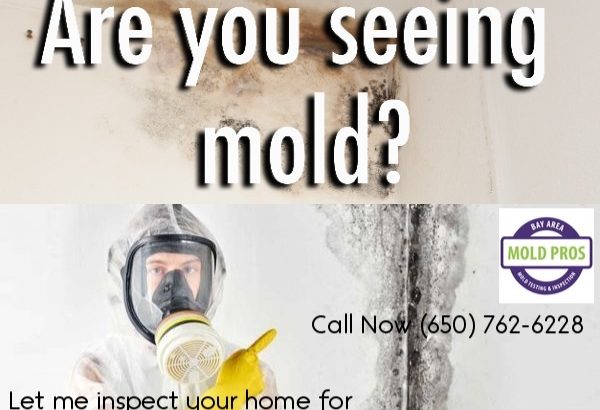 Residential and Commercial Mold Inspection and Testing Services San Francisco Bay Area