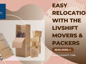Movers and Packers Delhi | Livshift