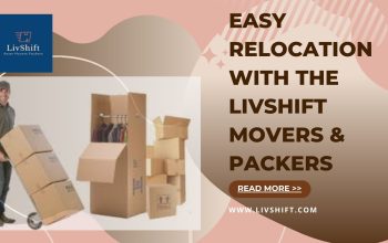 Movers and Packers Delhi | Livshift