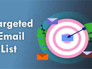 What is a targeted email list?