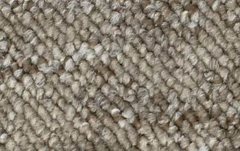 Buy Melbourne 08 Ivory Beige Loop Carpet Online